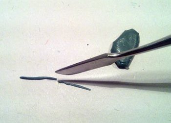 Enredaderas