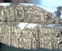 Resultados Resultados