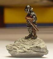 Corteza de árbol Corteza de árbol