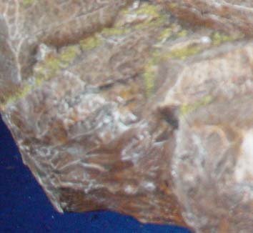 Pasta para recubrir Pasta para recubrir