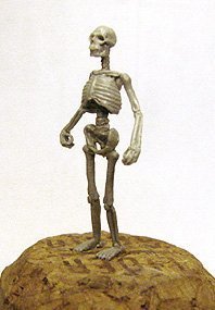 Esqueleto Ebob