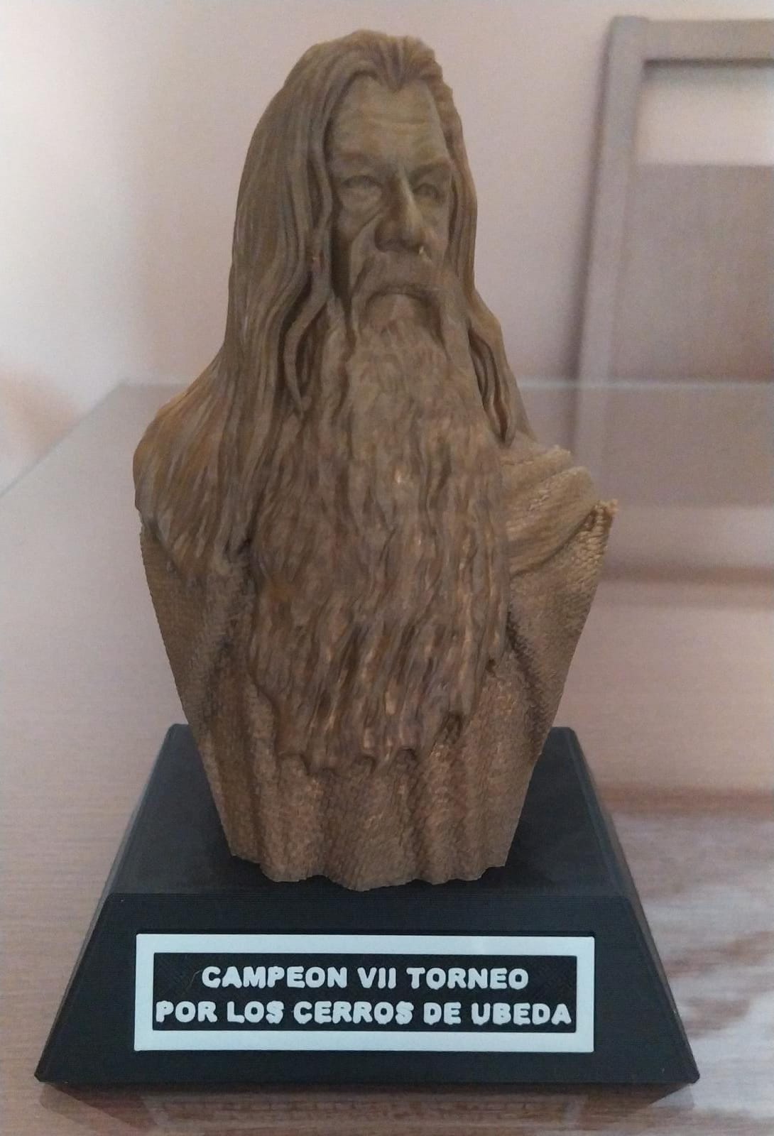 reportaje viitorneoubeda14a