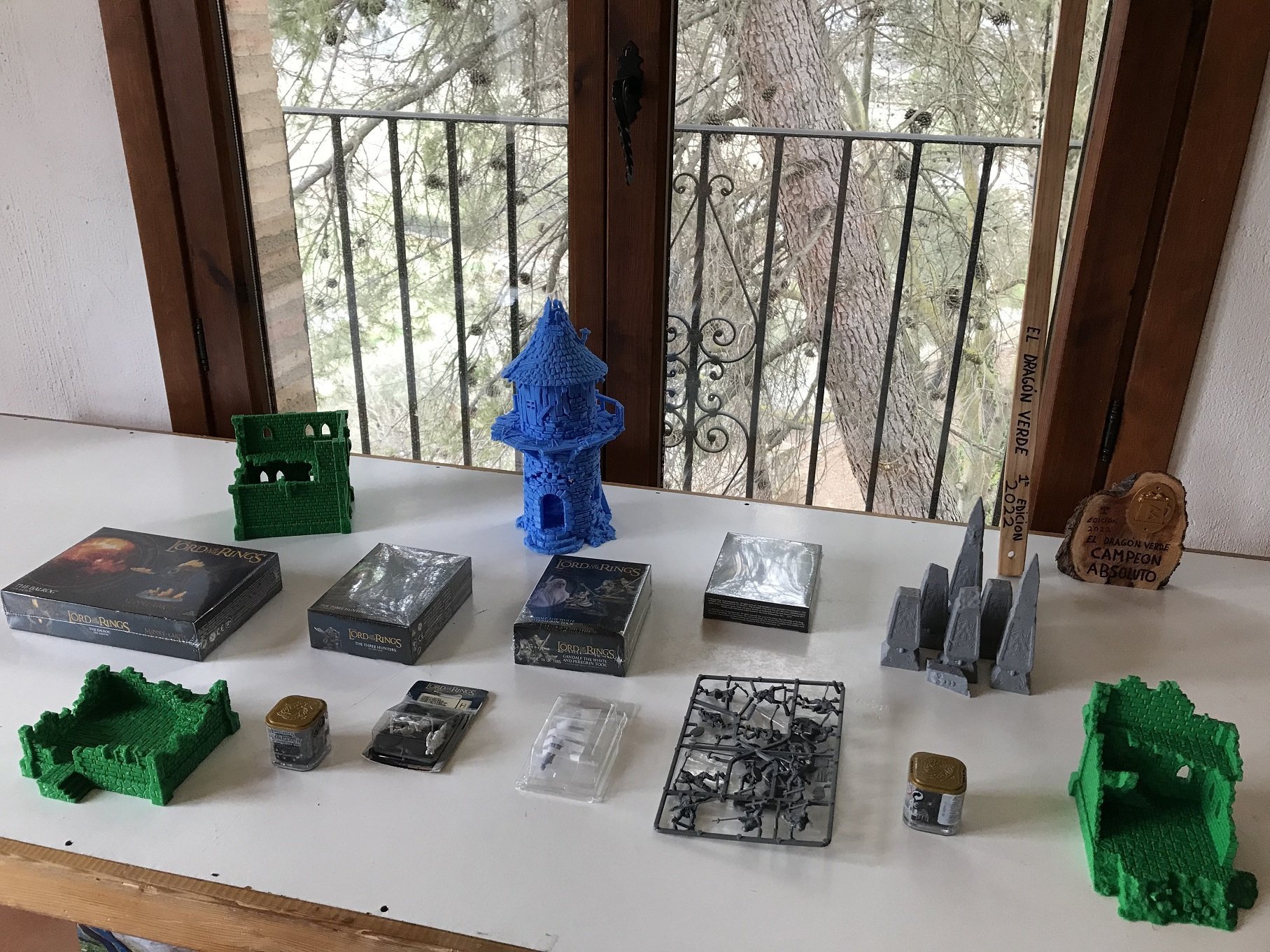 torneo 1dragonverde 17